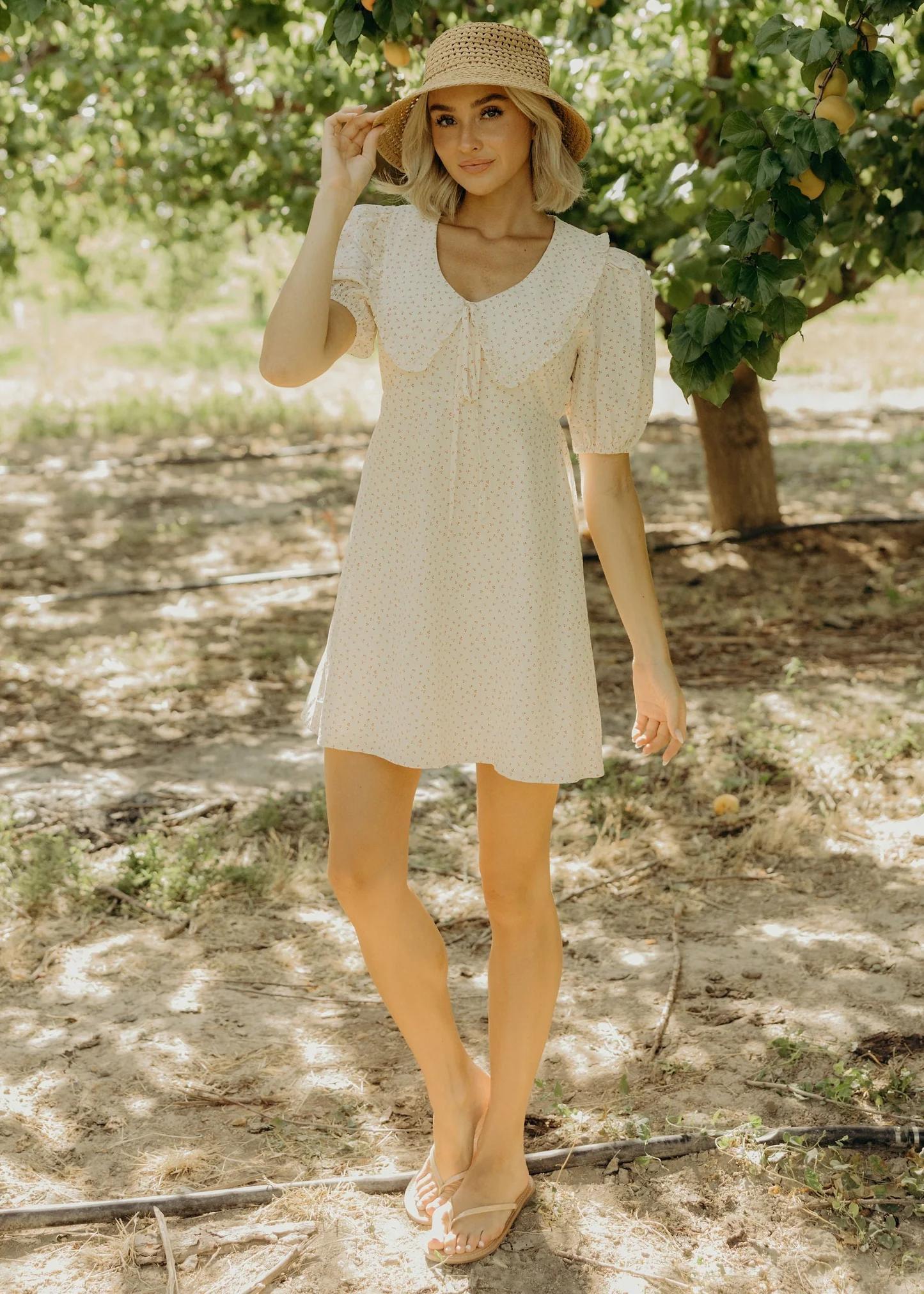 modest mini dresses The Lyla Dress XS Select Shoe Size:UK 5.5 / US 6.5 Zimmermann - - Illustration or style our sleek Disney/Fairytale