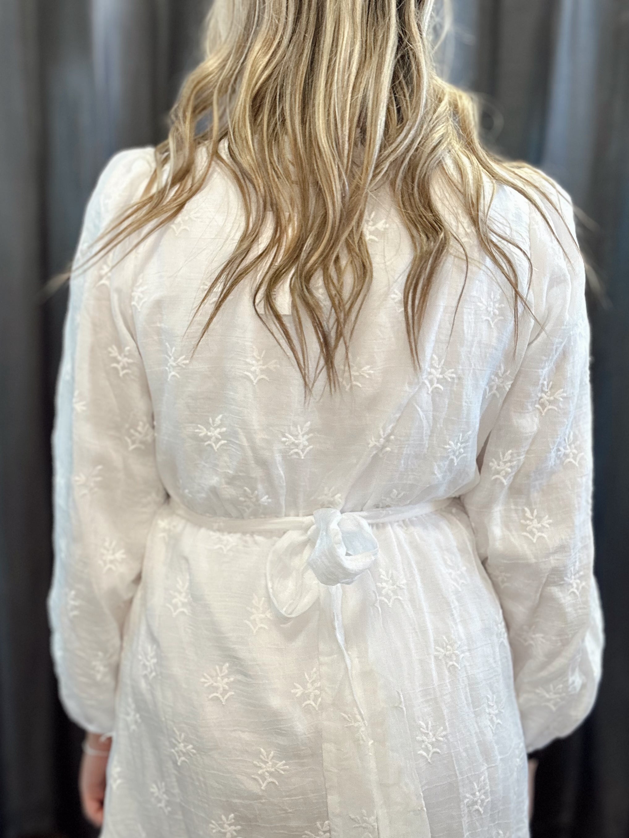 Belle Embroidered Temple Dress