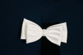 9684 Satin Bow