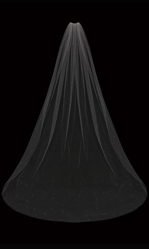 EnVogue V2087C