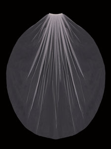 V2103SF IV