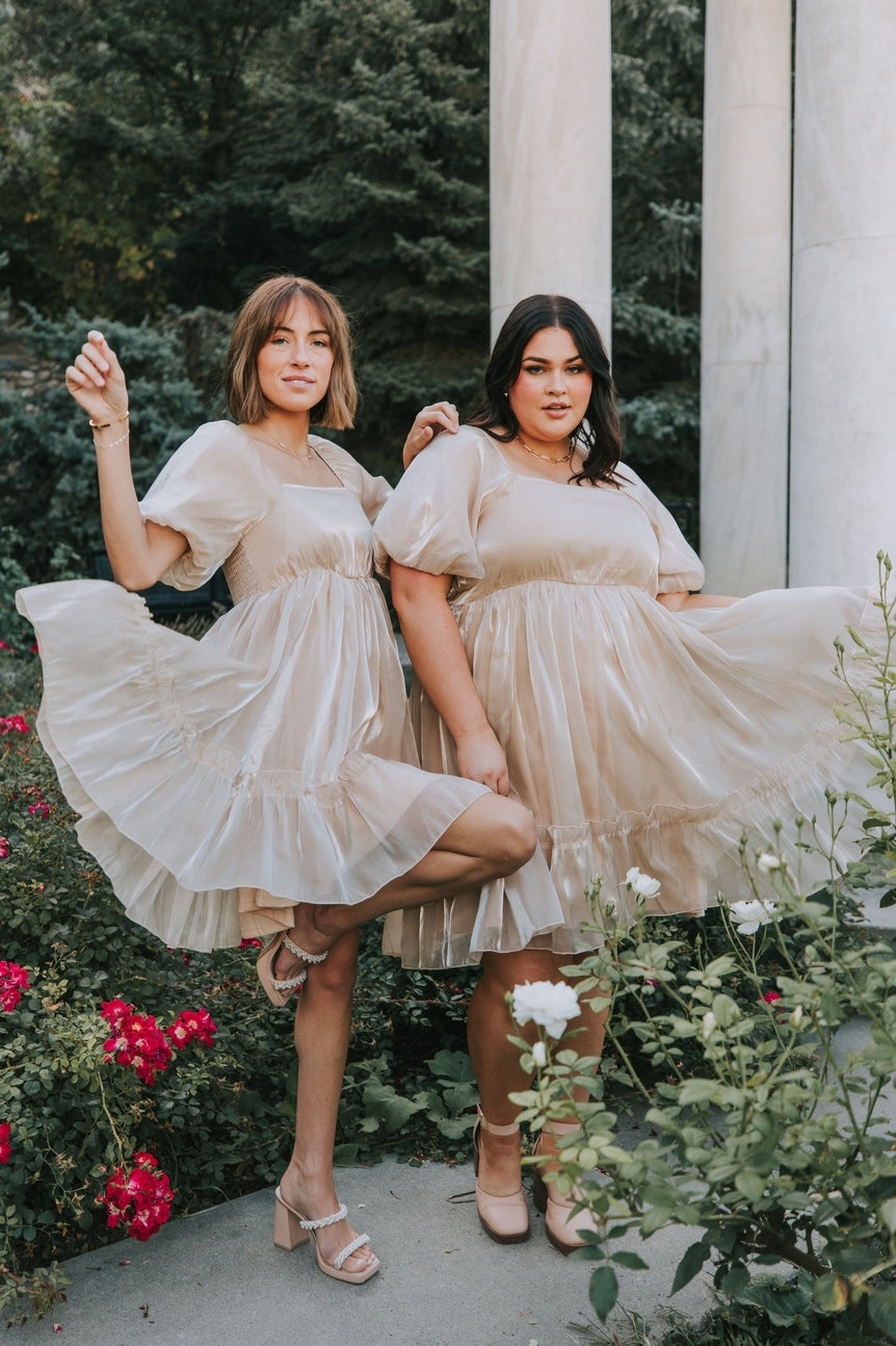Alexis Modest Dress in Champagne