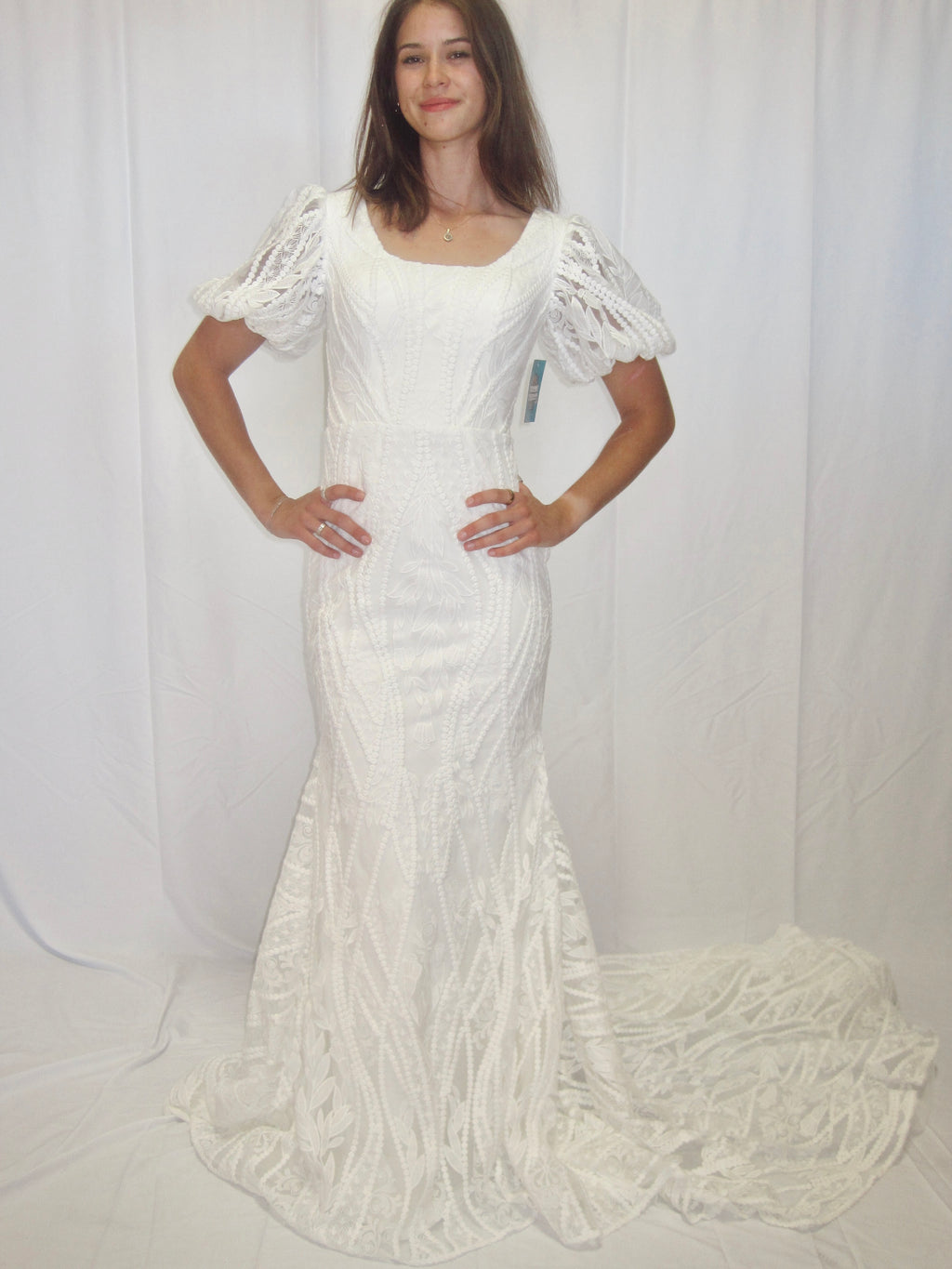 T2496Z Modest Wedding Dress