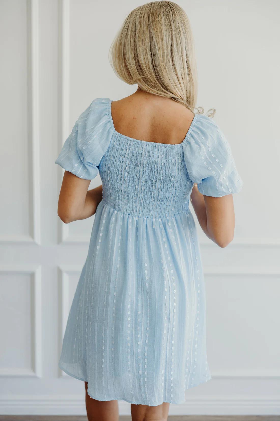 Saylor Modest Dress in Soft Blue Medium