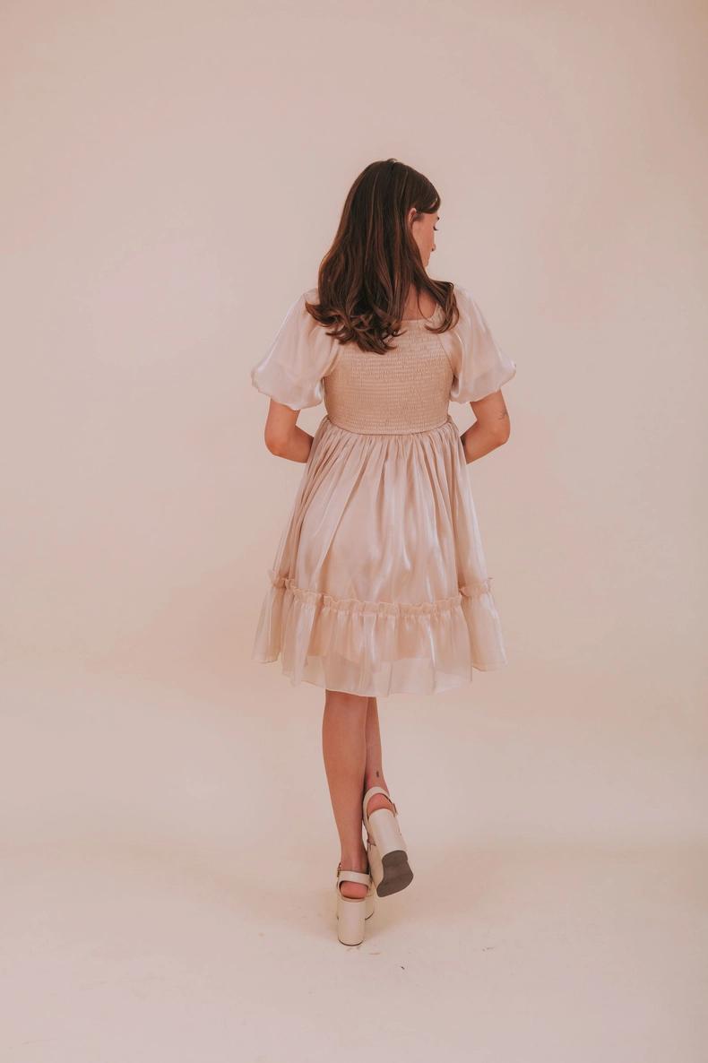 Alexis Modest Dress in Champagne