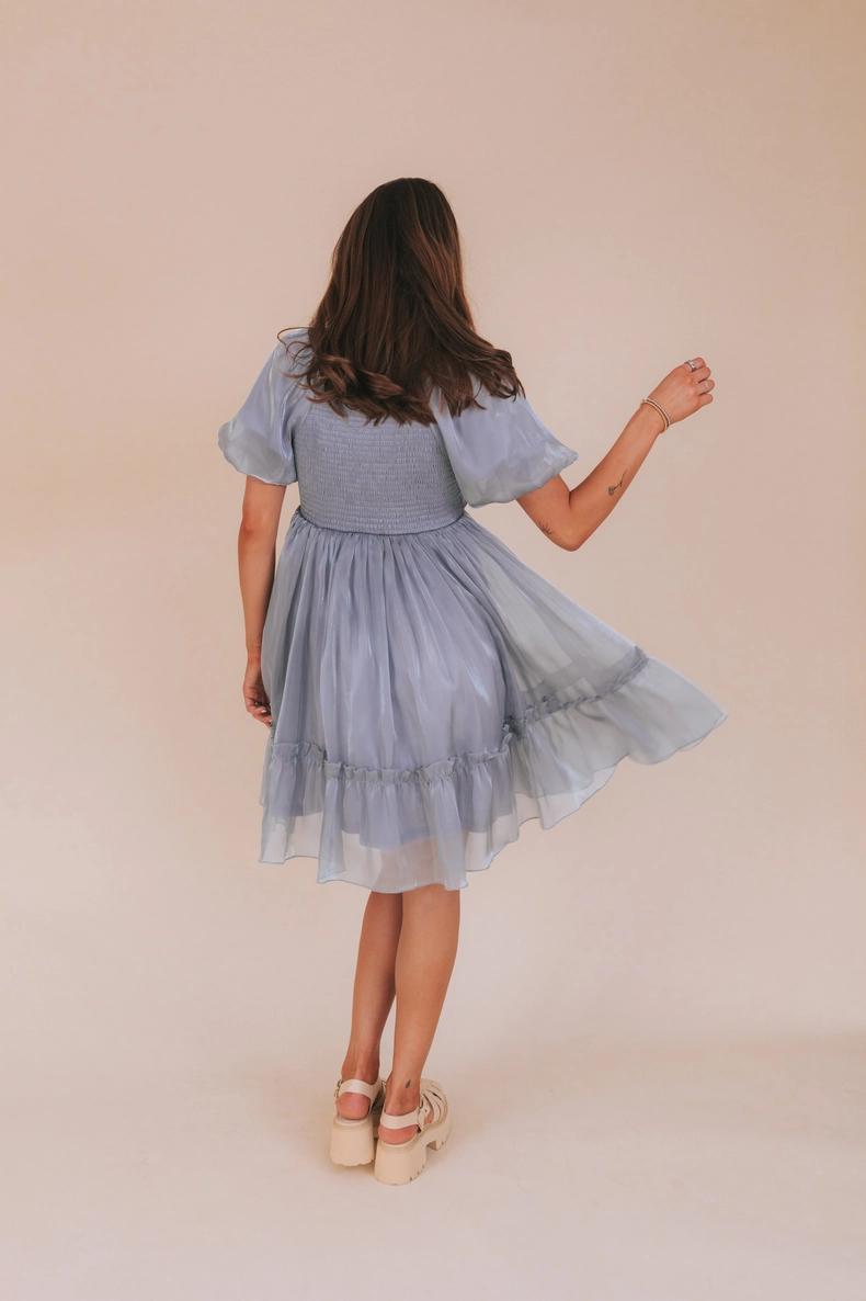 Alexis Modest Dress in Dusty Blue Large